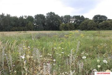 Фото №5: Земельный участок под ИЖС - Калужская, ул. Длинная, 48