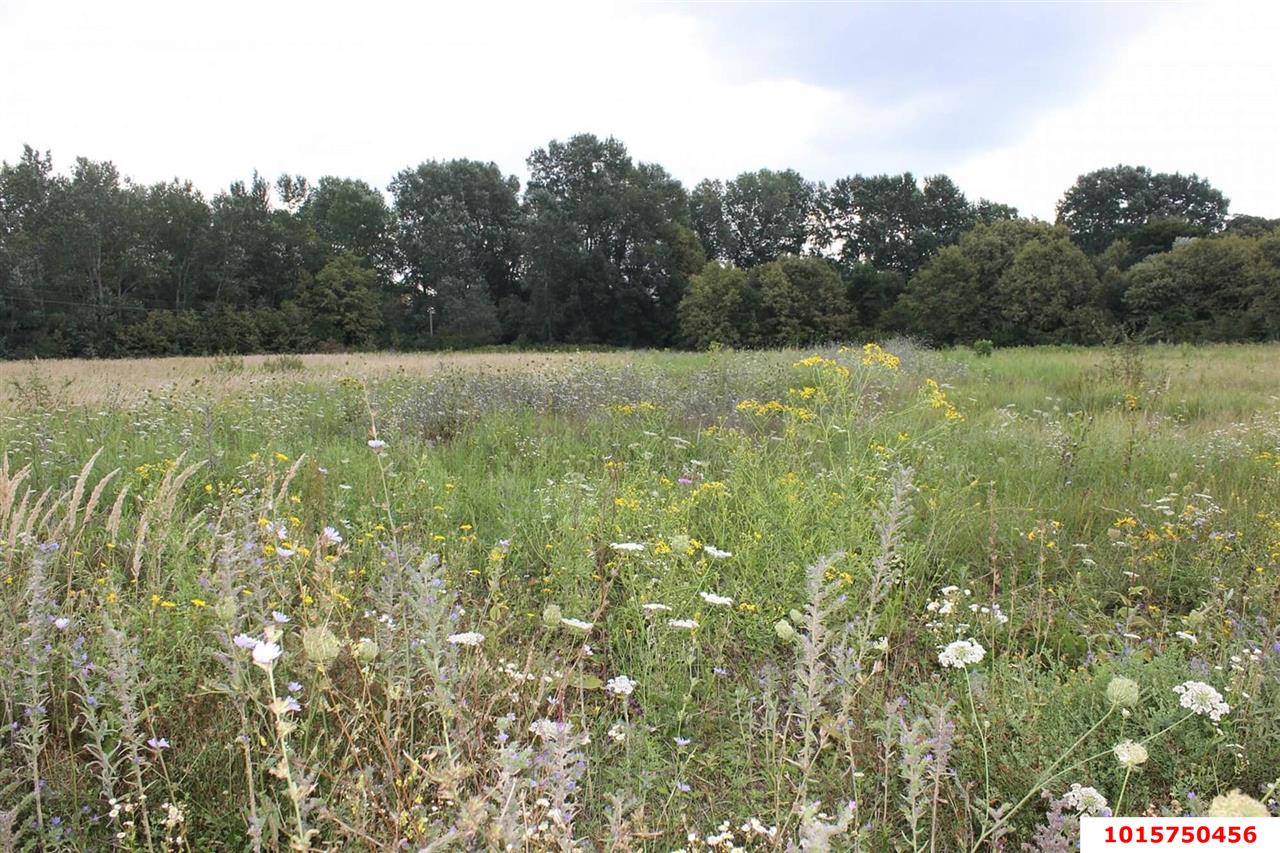 Фото №5: Земельный участок под ИЖС - Калужская, ул. Длинная, 48