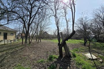 Фото №1: Личное подсобное хозяйство - Елизаветинская, ст Кавказ, ул. Цветочная