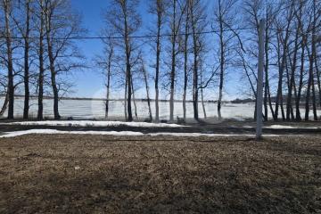 Фото №3: Личное подсобное хозяйство - Тульская область Щёкинский район