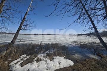 Фото №2: Личное подсобное хозяйство - Тульская область Щёкинский район