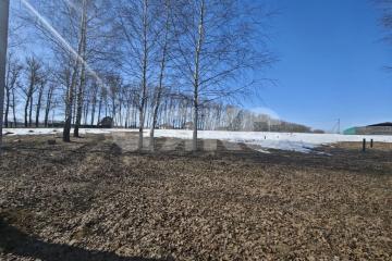 Фото №1: Личное подсобное хозяйство - Карамышево, ул. Заречная