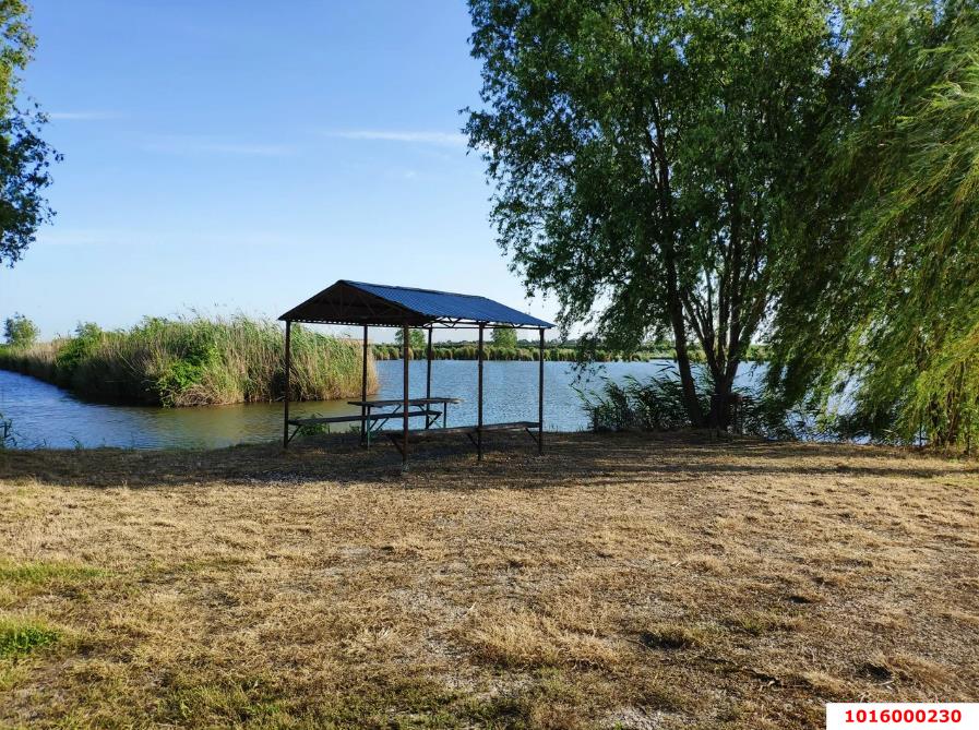 Фото №4: Личное подсобное хозяйство - НСТ Ромашка-2, мкр. Прикубанский внутригородской округ, ул. Свободная, 130