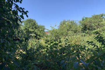 Фото №2: Личное подсобное хозяйство - НСТ Ромашка-2, мкр. Прикубанский внутригородской округ, ул. Свободная, 130