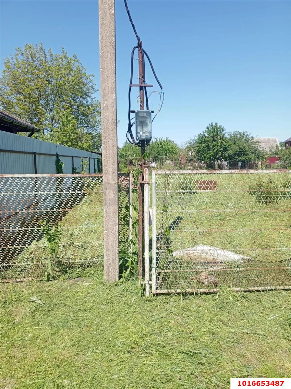 Фото №2: Личное подсобное хозяйство - Охрана, мкр. Прикубанский внутригородской округ, ул. Октябрьская