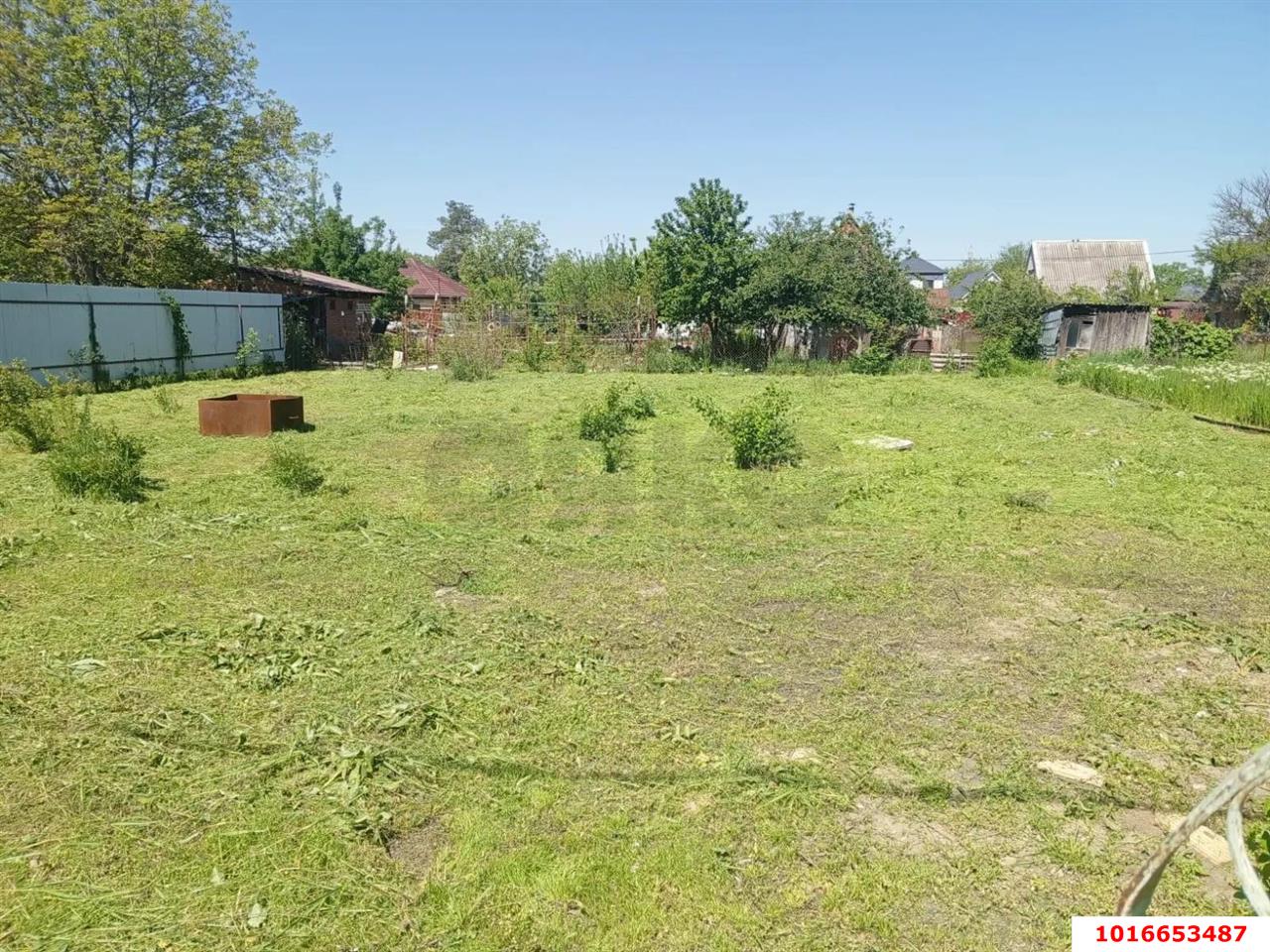 Фото №1: Личное подсобное хозяйство - Охрана, мкр. Прикубанский внутригородской округ, ул. Октябрьская