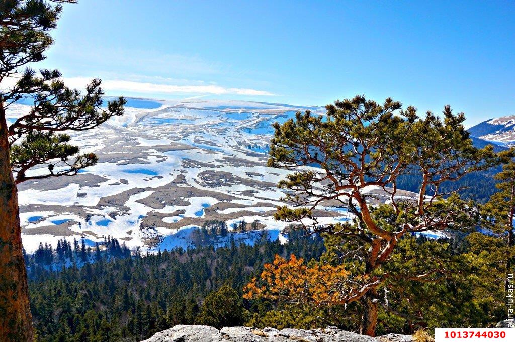 Фото №3: Земельный участок под ИЖС - Гузерипль, ул. Лесная, 59