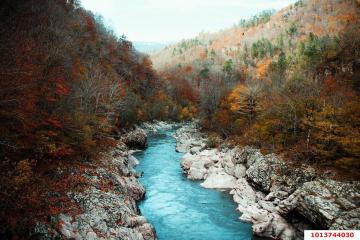 Фото №4: Земельный участок под ИЖС - Гузерипль, ул. Лесная, 59