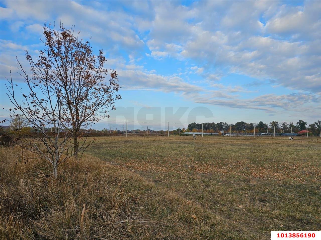 Фото №3: Земельный участок под ИЖС - Южный