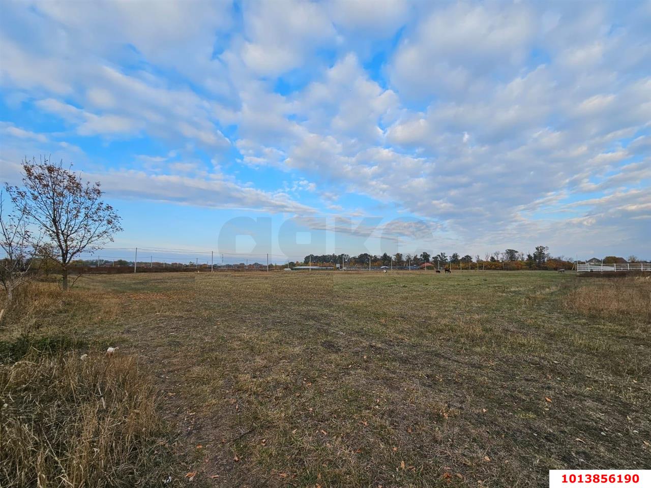 Фото №5: Земельный участок под ИЖС - Южный