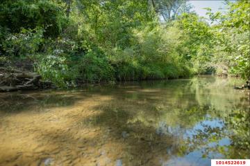 Фото №4: Личное подсобное хозяйство - Женева, мкр. квартал Светлый, 