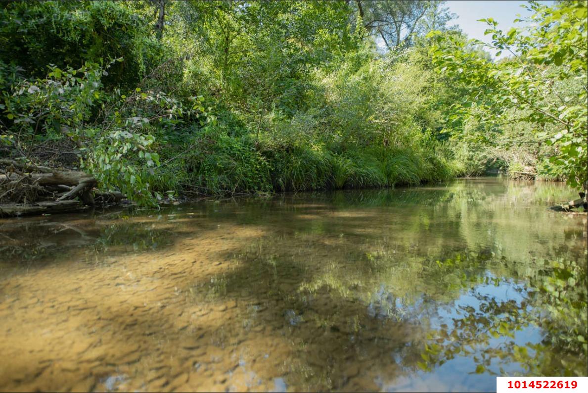 Фото №4: Личное подсобное хозяйство - Женева, мкр. квартал Светлый