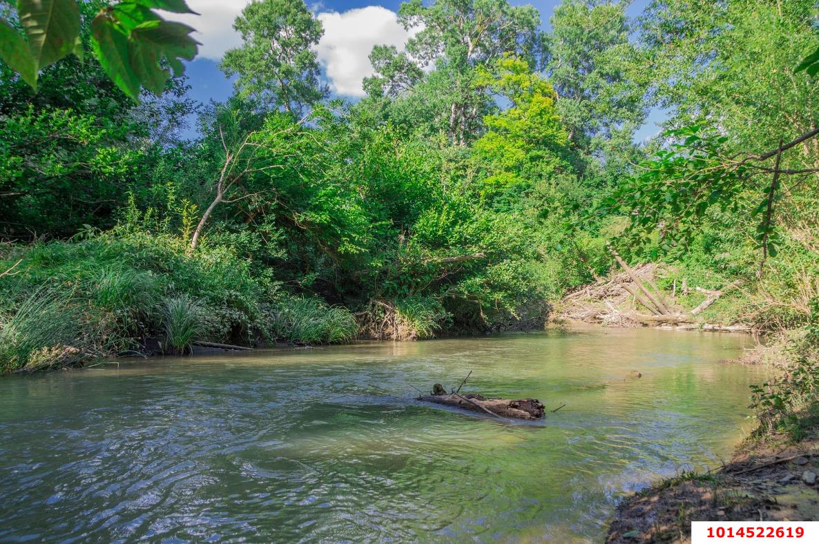 Фото №15: Личное подсобное хозяйство - Женева, мкр. квартал Светлый