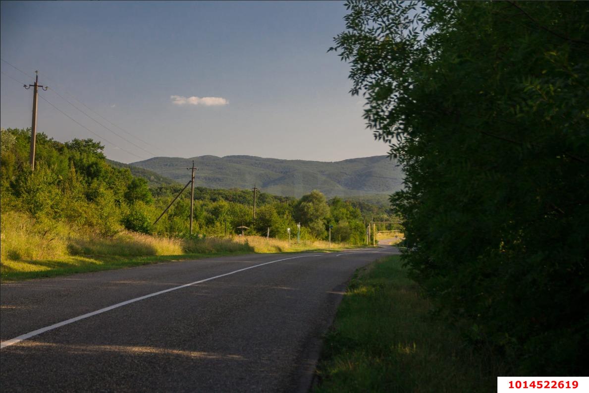 Фото №7: Личное подсобное хозяйство - Женева, мкр. квартал Светлый