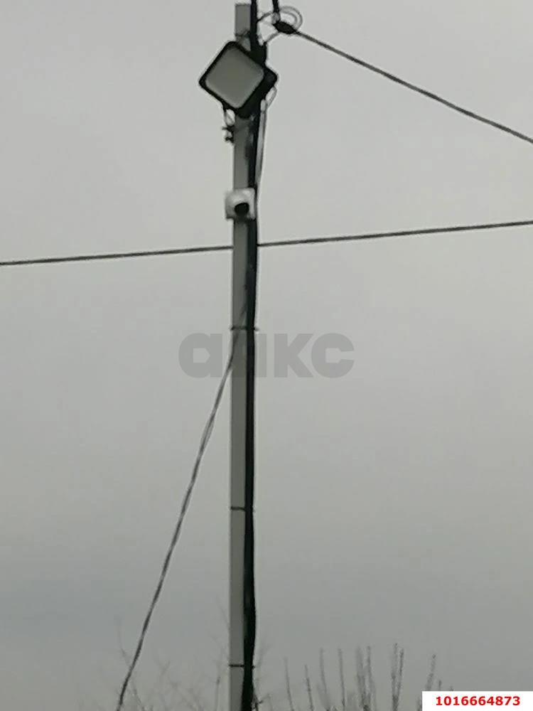 Фото №5: Личное подсобное хозяйство - Росинка, 73