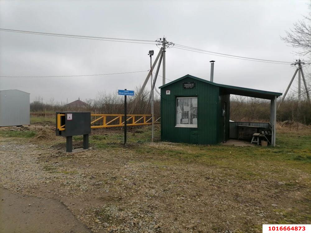 Фото №2: Личное подсобное хозяйство - Росинка, 73