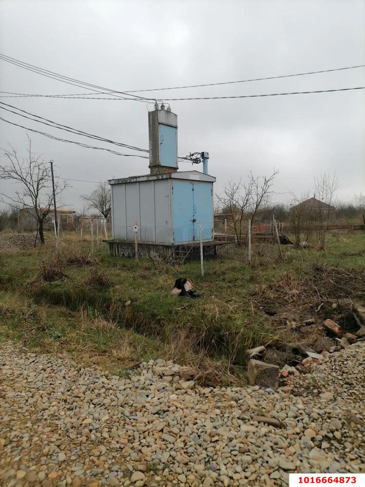 Фото №3: Личное подсобное хозяйство - Росинка, 73