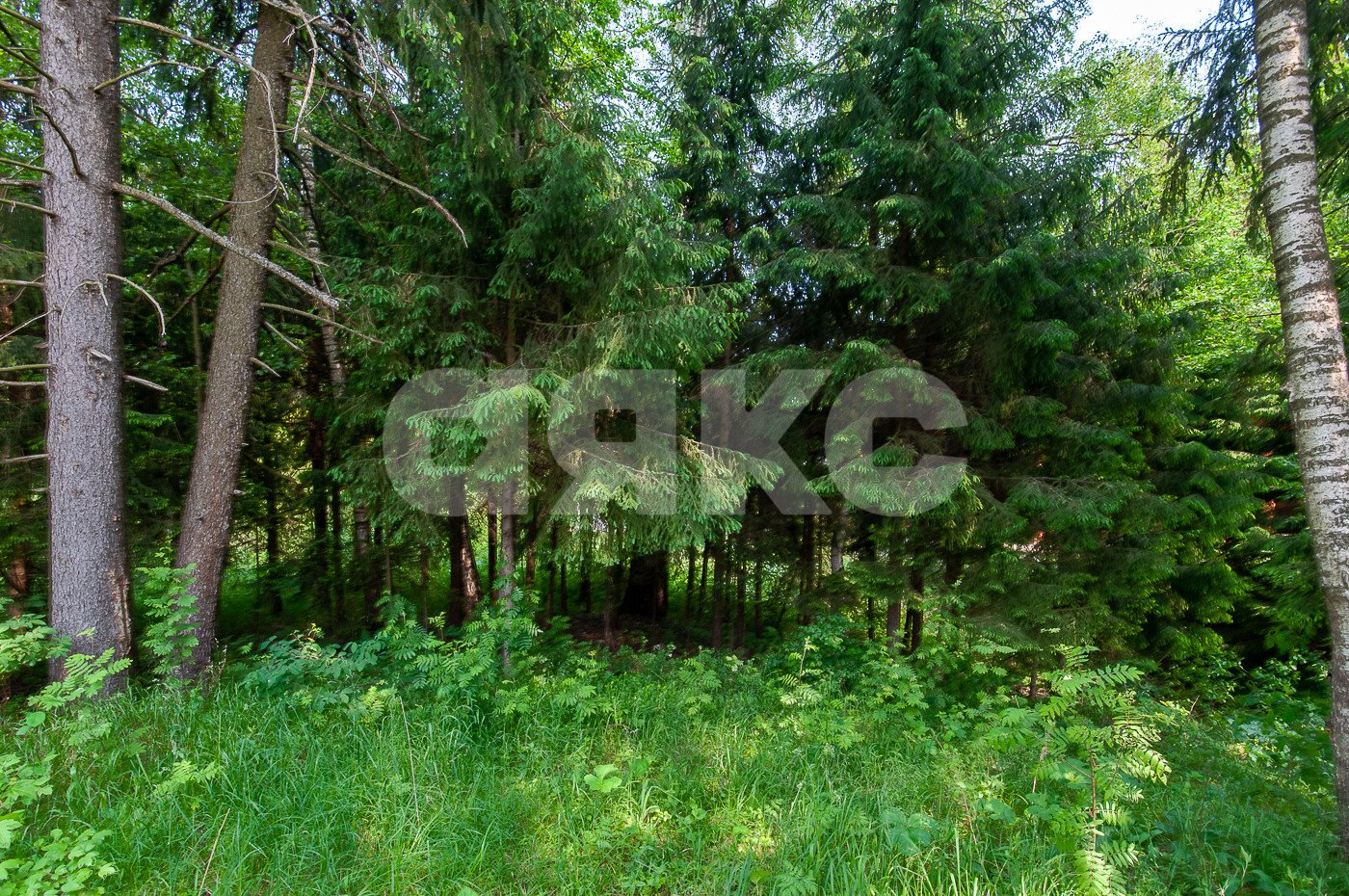 Фото №41: Дом 500 м² + 5750 сот. - Овсянниково, 3/6