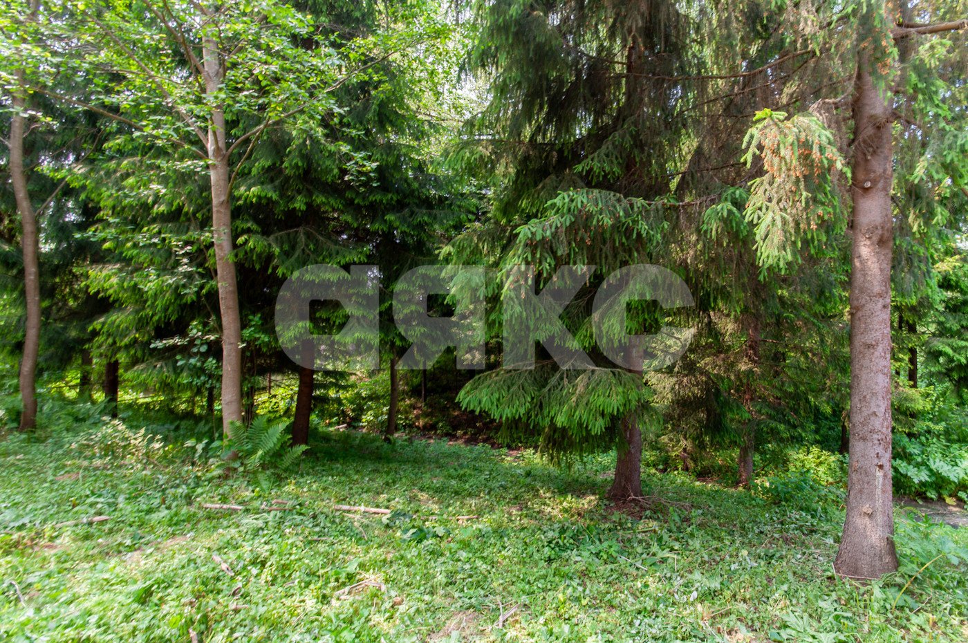 Фото №37: Дом 500 м² + 5750 сот. - Овсянниково, 3/6