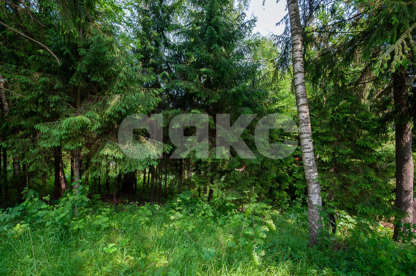 Фото №42: Дом 500 м² + 5750 сот. - Овсянниково, 3/6