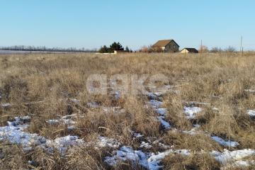 Фото №3: Земельный участок под ИЖС - Юрьевка, ул. Степная