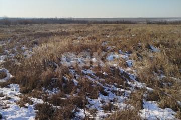 Фото №2: Земельный участок под ИЖС - Юрьевка, ул. Степная