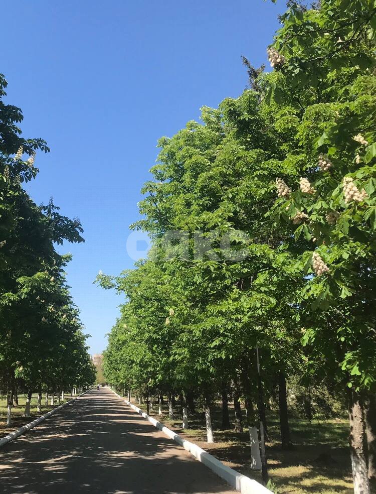 Фото №13: 4-комнатная квартира 73 м² - Луганск, Артёмовский, мкр. городок ЛНАУ, 26