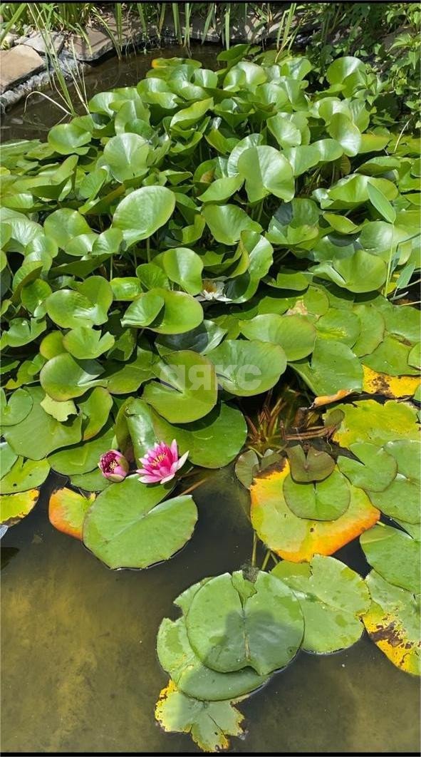 Фото №26: Дом 122 м² + 15 сот. - Гиагинская, ул. Почтовая