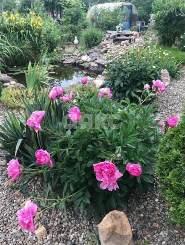 Фото №23: Дом 122 м² + 15 сот. - Гиагинская, ул. Почтовая