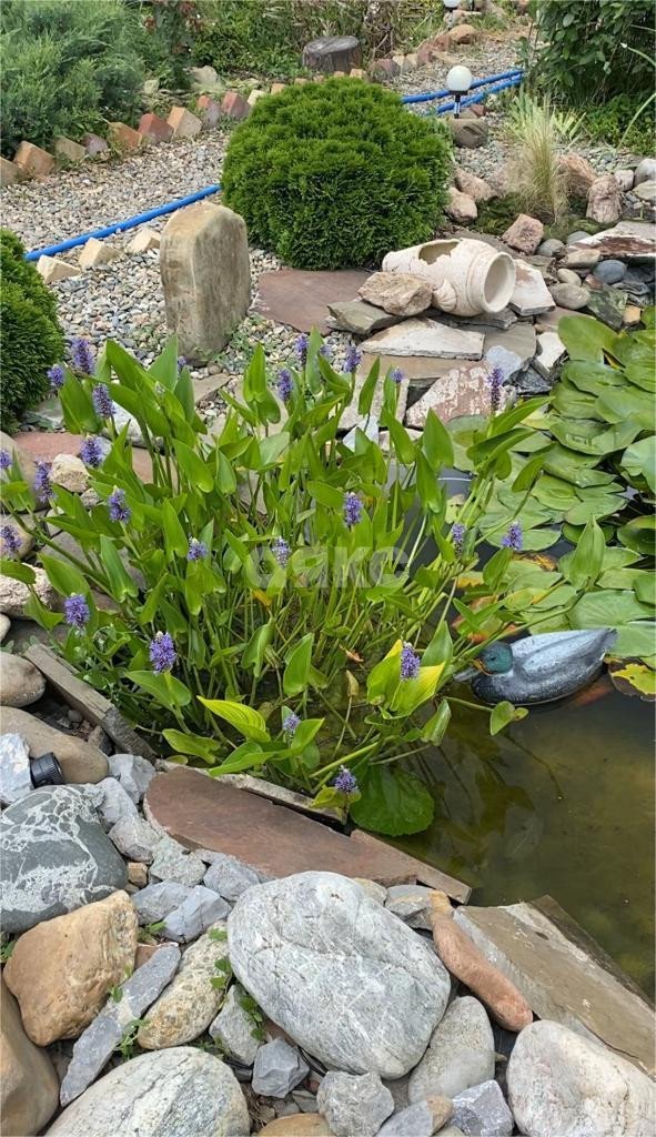 Фото №25: Дом 122 м² + 15 сот. - Гиагинская, ул. Почтовая