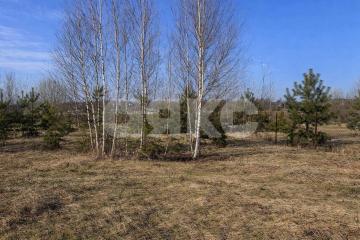 Фото №3: Земельный участок под ИЖС - КП Серебряная лагуна, ул. Лазурная