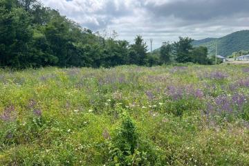 Фото №2: Личное подсобное хозяйство - СТ Строитель, 