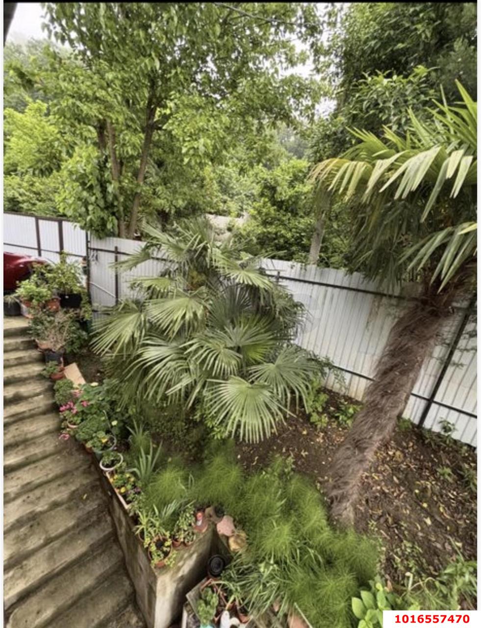 Фото №10: Дом 118 м² + 3 сот. - Сочи, Хостинский, Хоста, мкр. СНТ Водоканал, ул. Туренко, 44