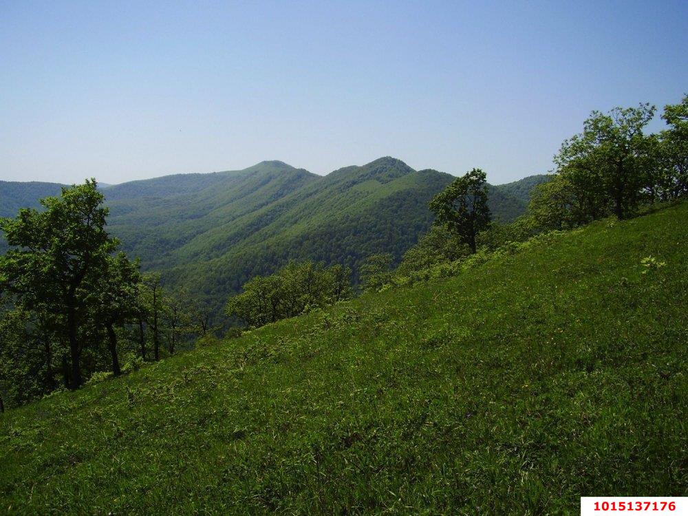 Фото №3: Коммерческая земля 12 сот. - Григорьевская, ул. Кирова, 1