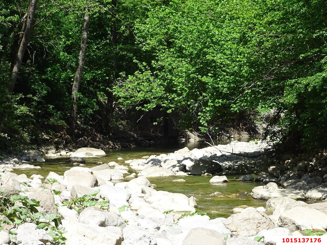 Фото №7: Коммерческая земля 12 сот. - Григорьевская, ул. Кирова, 1