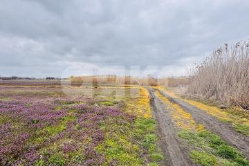 Фото №5: Земельный участок под ИЖС - Кореновск, мкр. 1-й квартал, ул. Западная