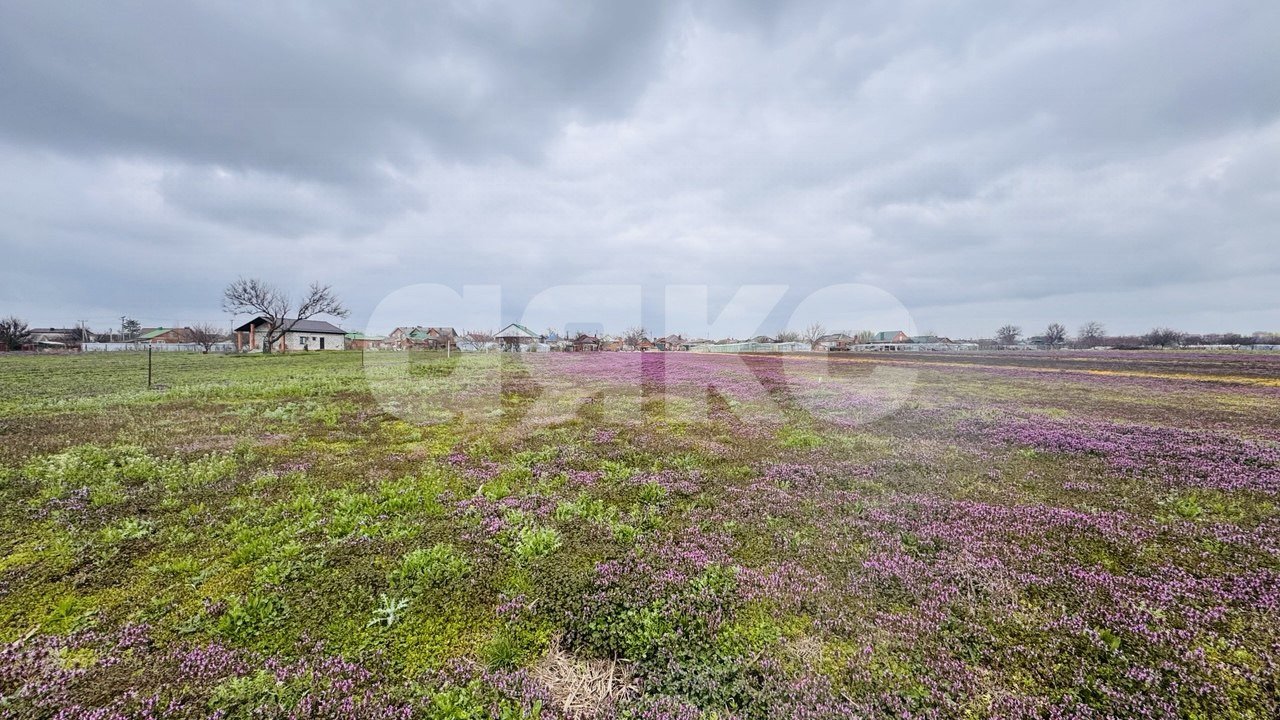 Фото №4: Земельный участок под ИЖС 15 сот. - Кореновск, мкр. 1-й квартал, ул. Западная