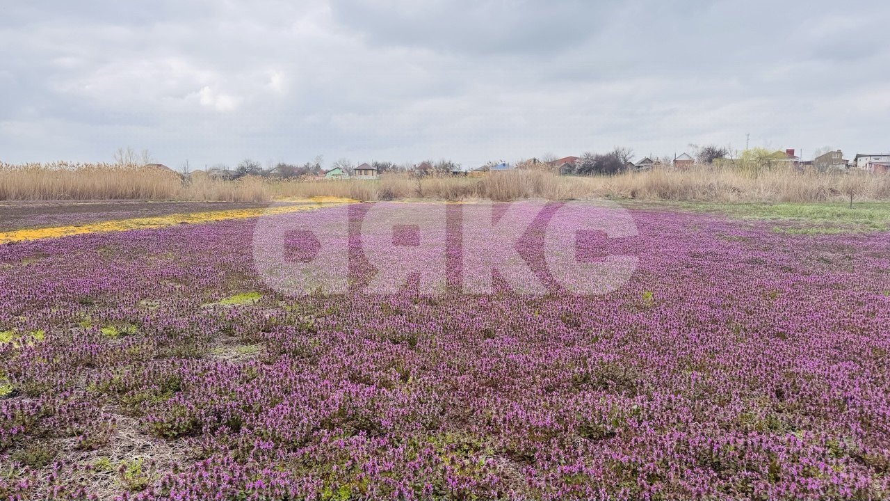 Фото №1: Земельный участок под ИЖС 15 сот. - Кореновск, мкр. 1-й квартал, ул. Западная