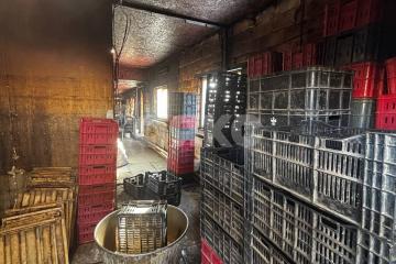 Фото №5: Коммерция 193 м² - Городище, пер. Родниковый