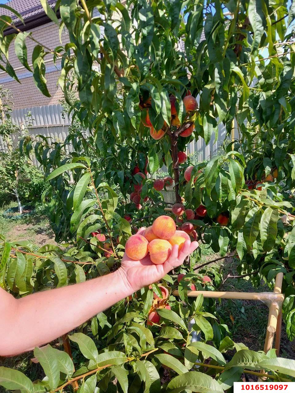 Фото №16: Дом 136 м² + 3.18 сот. - Краснодар, мкр. Прикубанский внутригородской округ, пр-д 2-й  Куликова Поля