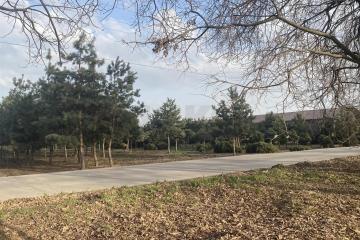 Фото №5: Земельный участок под ИЖС - Краснодар, мкр. КП Николино парк 2, ул. имени Ивана Игнатенко, 61