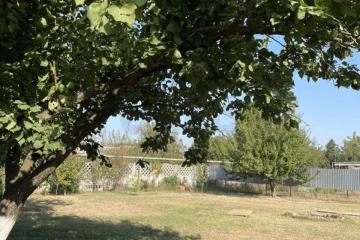 Фото №3: Личное подсобное хозяйство - садовое некоммерческое товарищество Авиатор, мкр. Прикубанский внутригородской округ, ул. Дачная