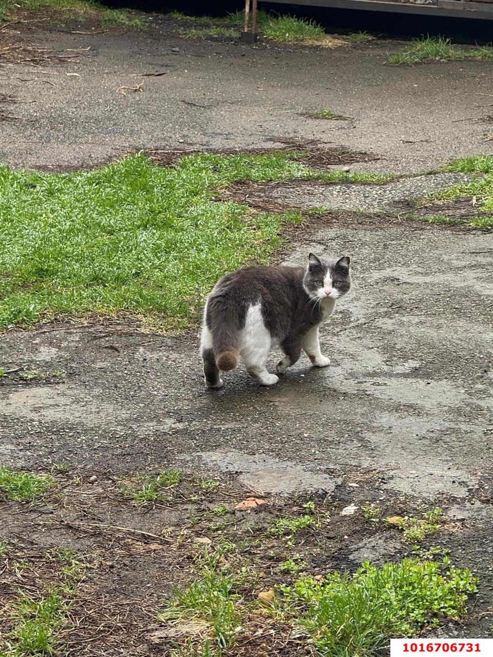 Фото №14: Гараж - Краснодар, Центральный внутригородской округ, мкр. 40 лет Победы, ул. Колхозная, 49