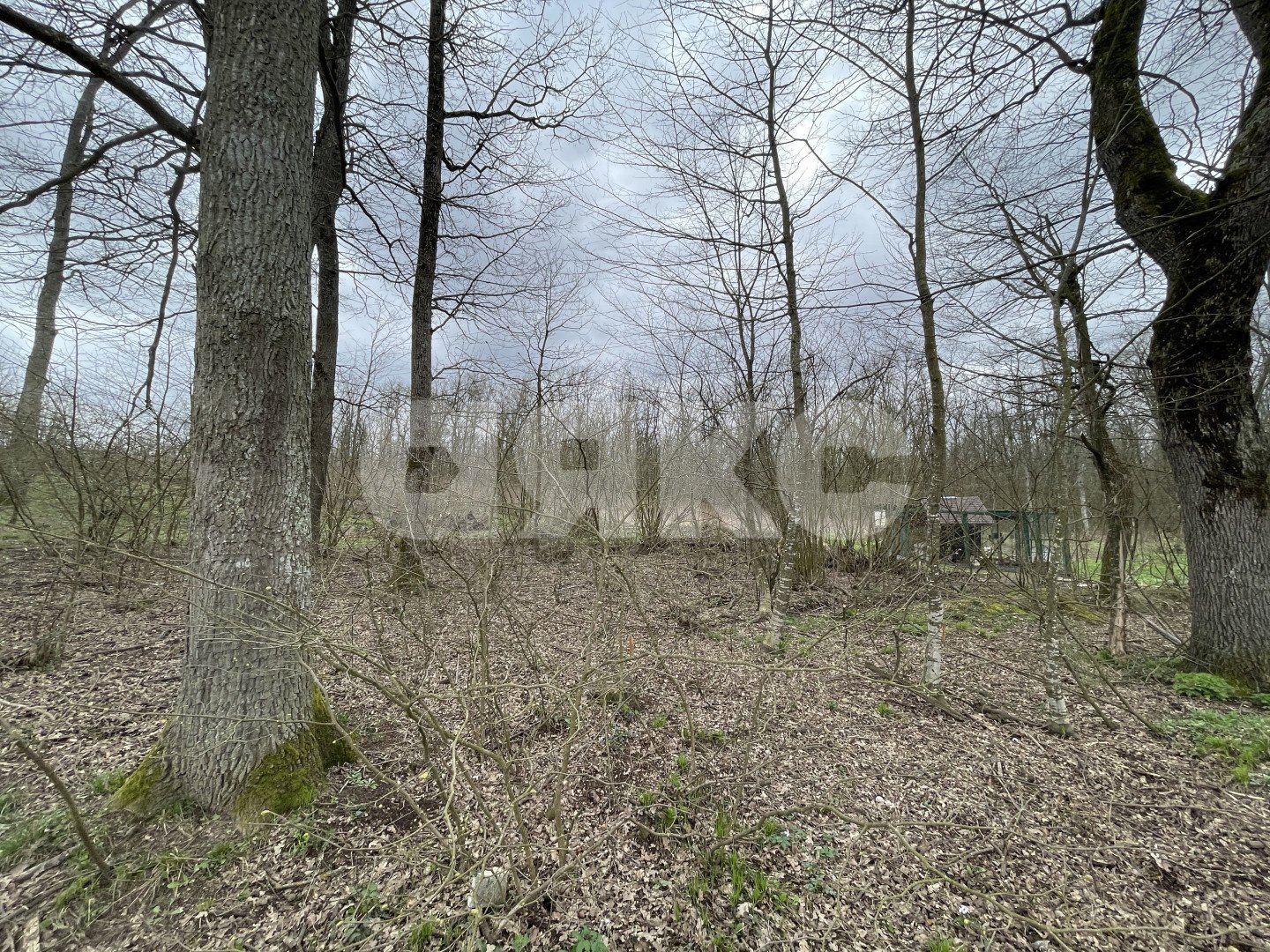 Фото №15: Дом 60 м² + 7 сот. - Горячий Ключ, мкр. Развилка, ул. Солнечная Поляна