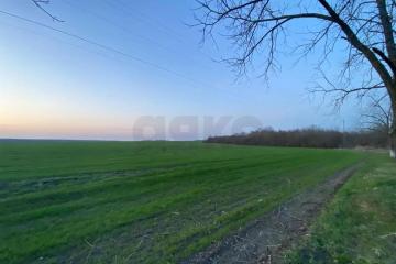 Фото №2: Коммерческая земля 4.98 сот. - Республика Адыгея (Адыгея) Теучежский район