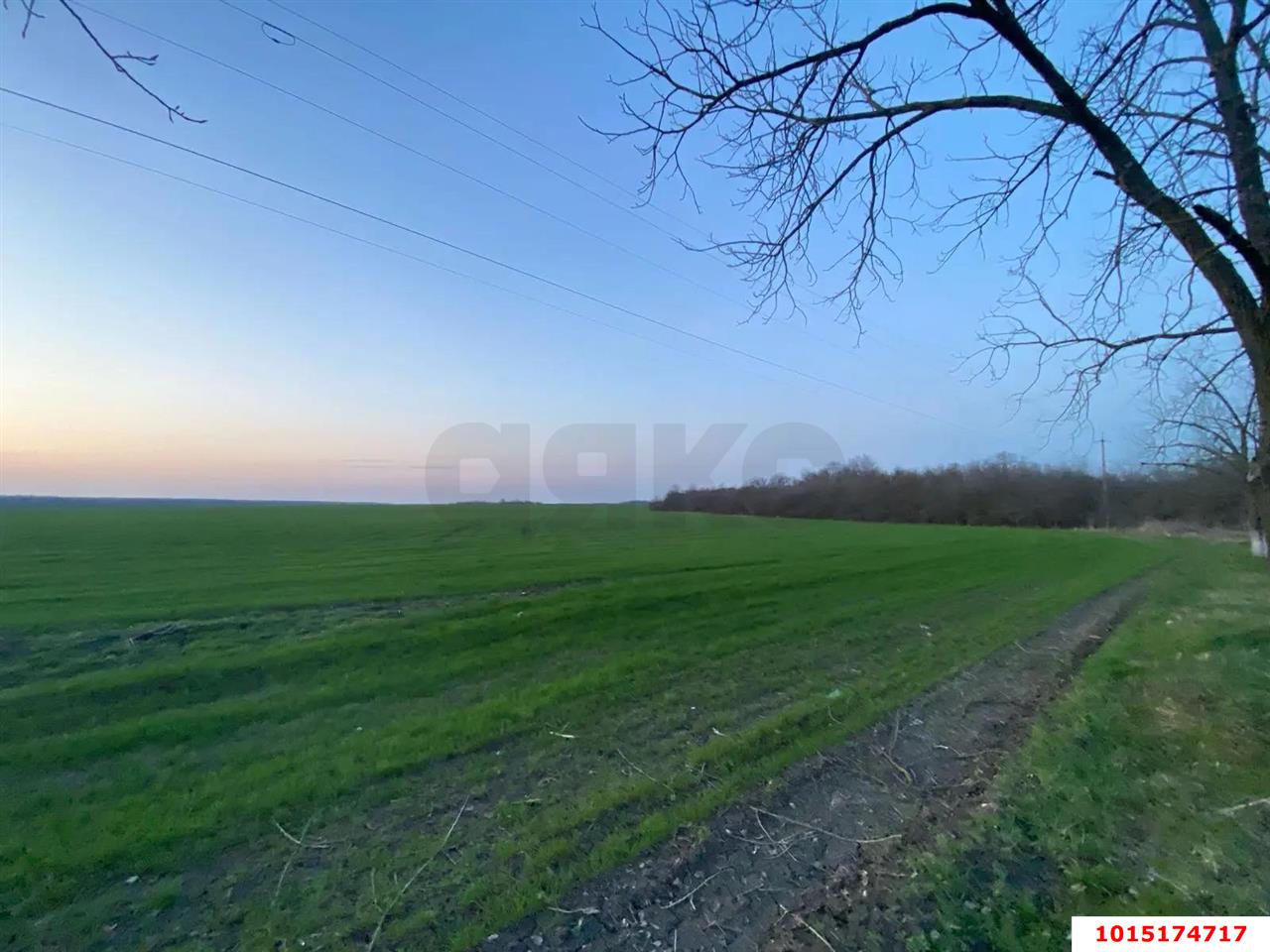 Фото №2: Коммерческая земля 4.98 сот. - Республика Адыгея (Адыгея) Теучежский район