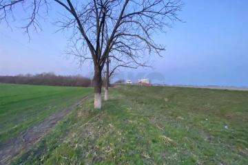 Фото №3: Коммерческая земля 4.98 сот. - Республика Адыгея (Адыгея) Теучежский район