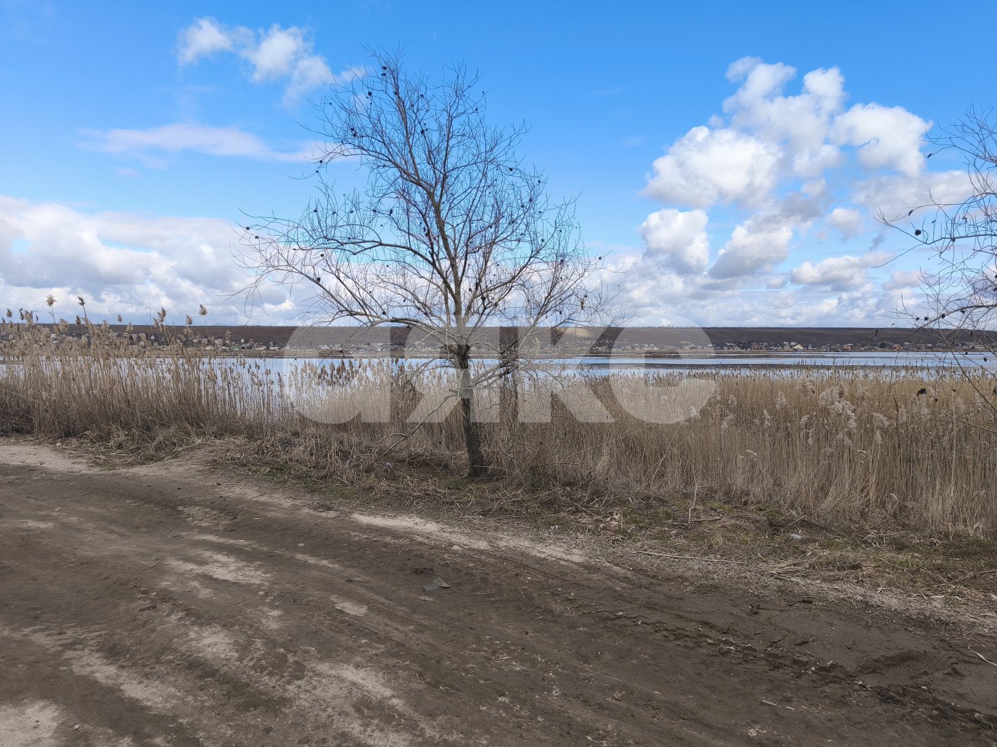 Фото №4: Дача 125 м² + 4.29 сот. - Приморское, р. Левобережный