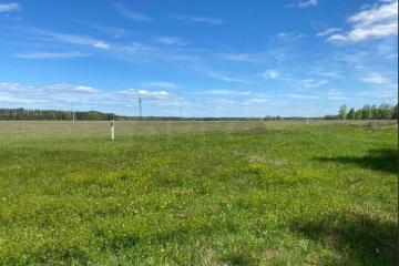 Фото №2: Коммерческая земля 20 сот. - Нещадимовский, ул. Крестьянская, 12