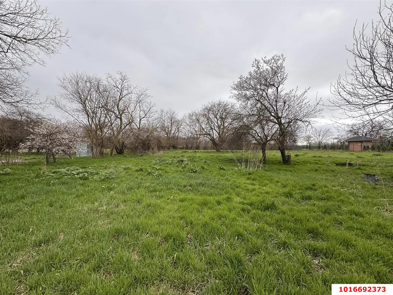 Фото №1: Земельный участок под ИЖС - Хаштук, ул. Набережная, 2